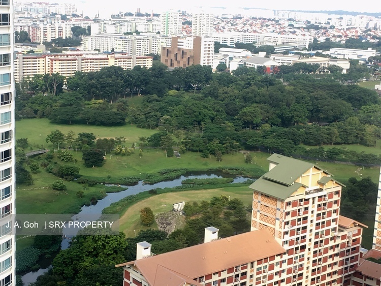 Clover By The Park (D20), Condominium #183155252